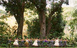 �v�����X���b�g�E�t���t�F�X�e�B�o��