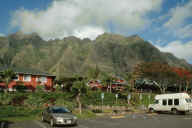 �N�A���A�q��