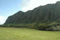 �N�A���A�q��