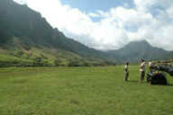 �N�A���A�q��